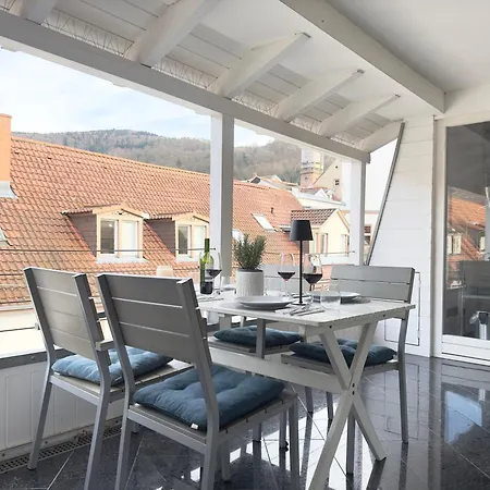 Apartment Luxury Old Town - Xxl Terrasse & Xxl Penthouse Heidelberg