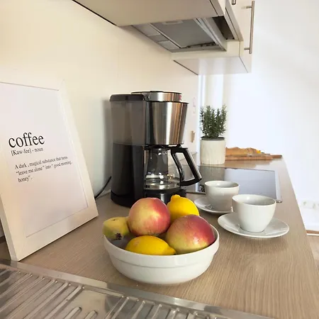 Appartamento Luxury Old Town - Xxl Terrasse & Xxl Penthouse Heidelberg