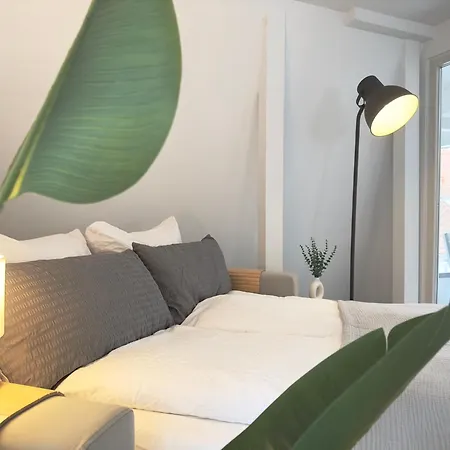 Luxury Old Town - Xxl Terrasse & Xxl Penthouse Heidelberg